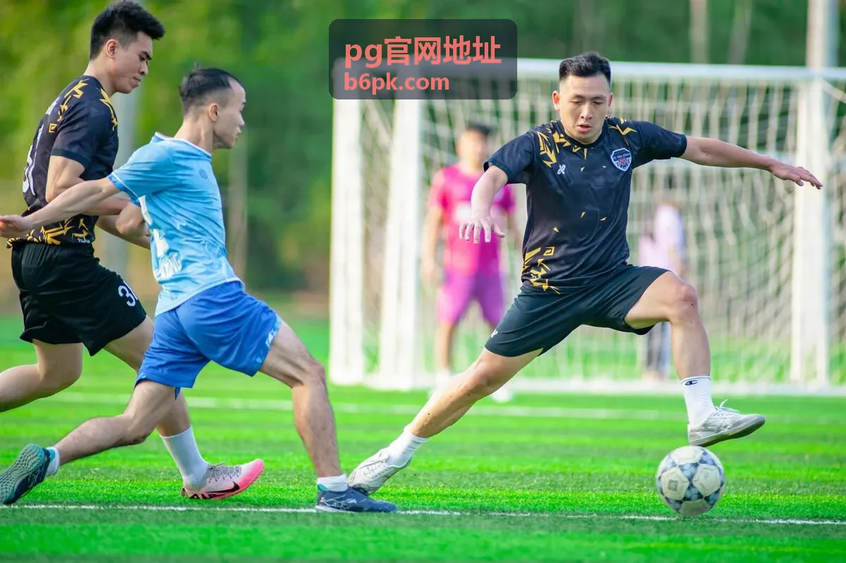 pg官网地址首次查找入口的操作界面示意