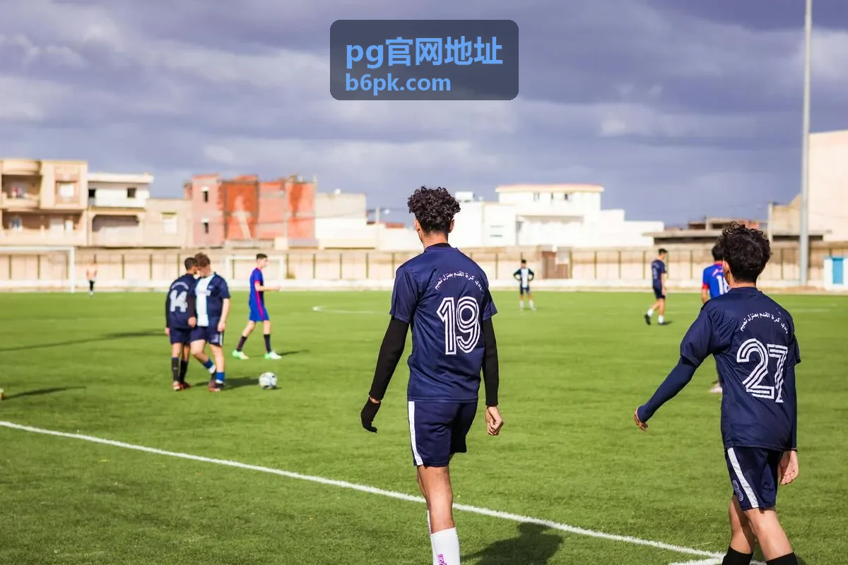 PG官网地址官方入口核对流程示意